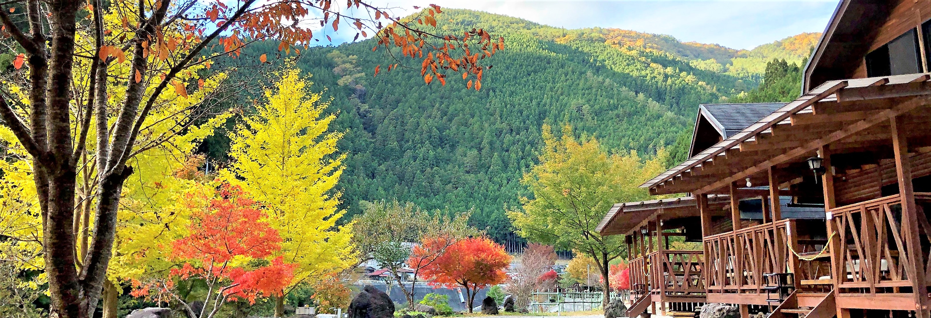 秋にはコテージから紅葉も鑑賞できるロケーション